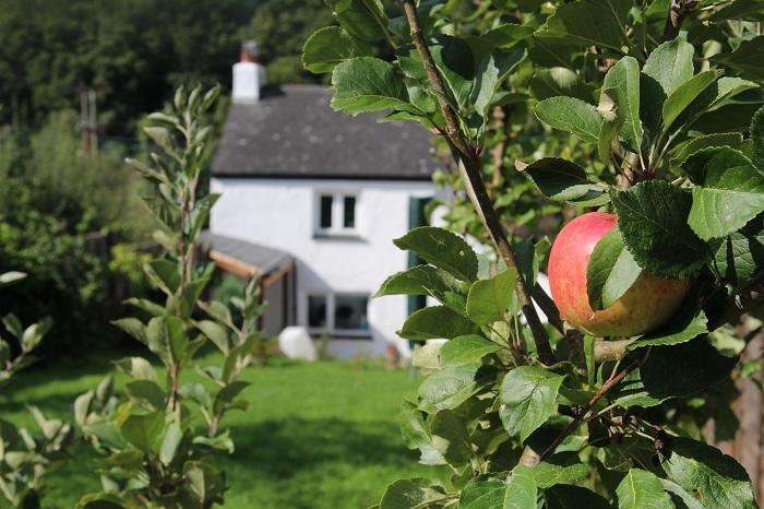 Peacock Cottage Cinderford Quarto foto